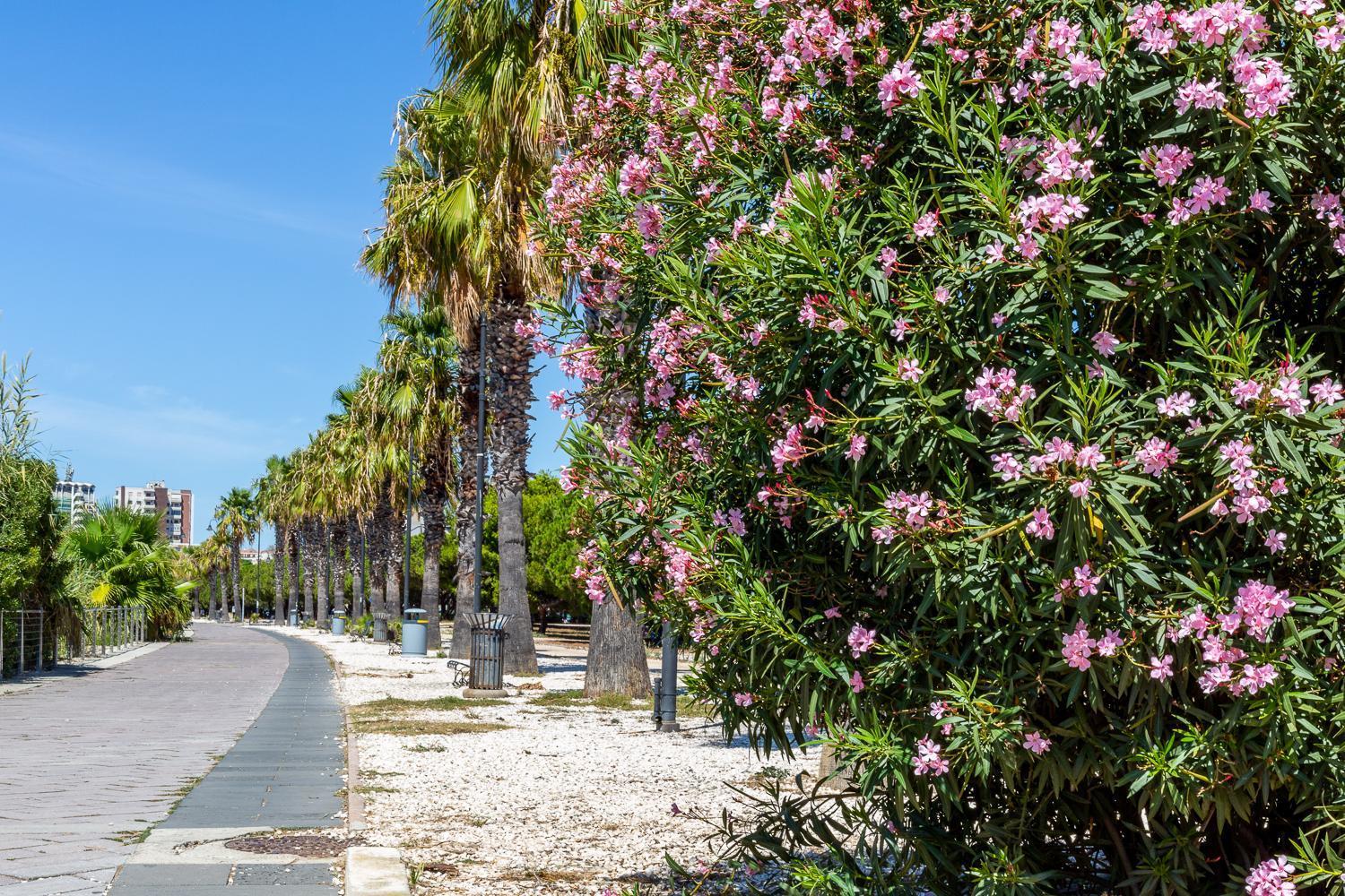 Sunichele Luxury Apartment Cagliari Exteriér fotografie